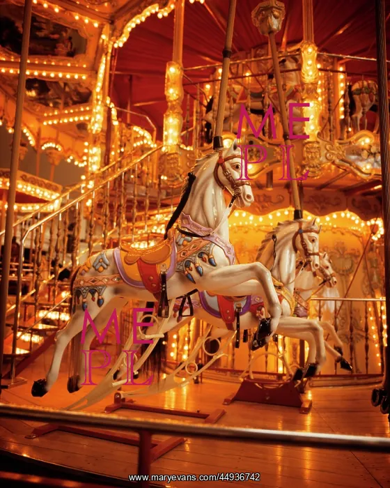 : Fun fair. Two Horses on Merry-Go-Round : Fun fair. Two Horses on Merry-Go-Round