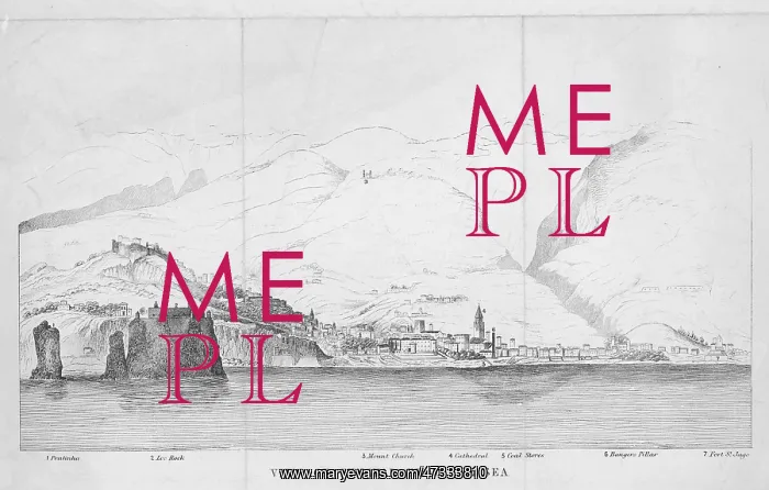  : FUNCHAL MADEIRA C19TH