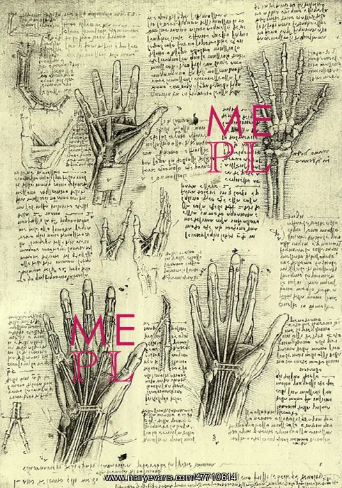  : Functions of Human Hand