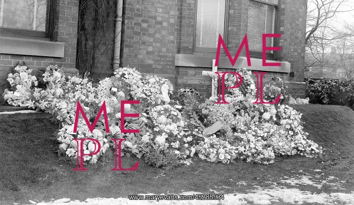 : Funeral Flowers : Funeral Flowers