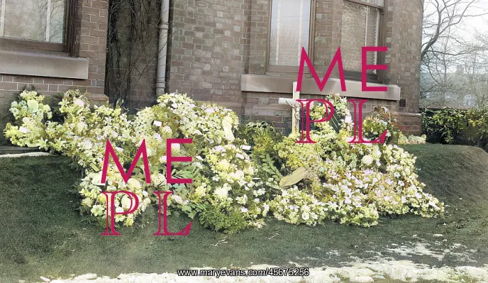 : Funeral Flowers : Funeral Flowers