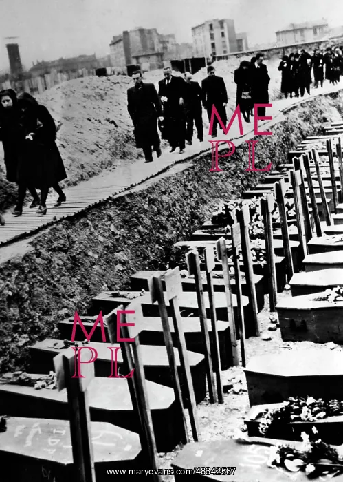 : Funeral in Paris, 1943 : Funeral in Paris, 1943