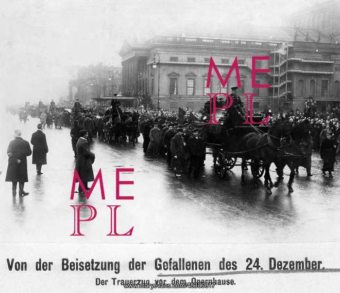 : Funeral procession of the fallen of December 24, 1918 : Funeral procession of the fallen of December 24, 1918