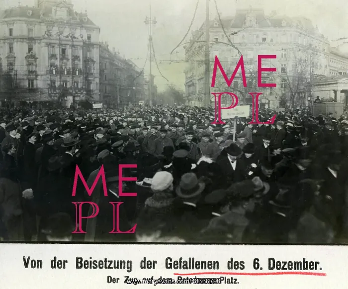 : Funeral procession for the fallen of December 6, 1918 : Funeral procession for the fallen of December 6, 1918