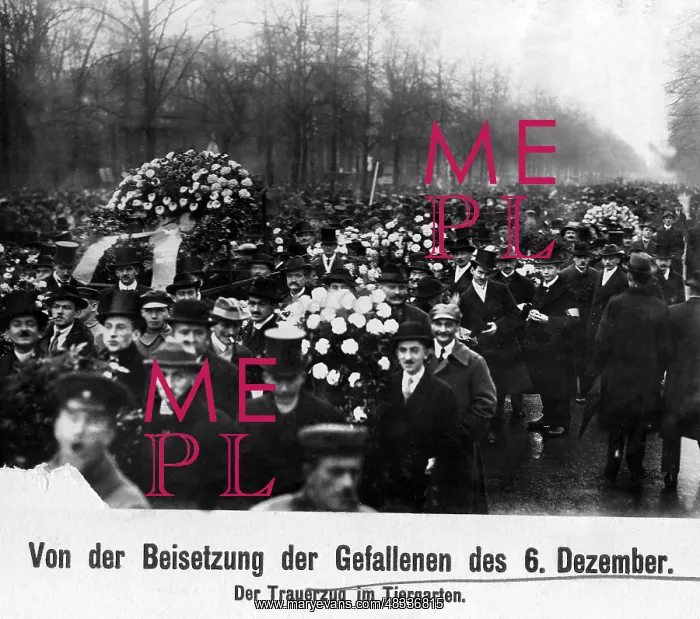 : Funeral procession for the fallen of December 6, 1918 : Funeral procession for the fallen of December 6, 1918