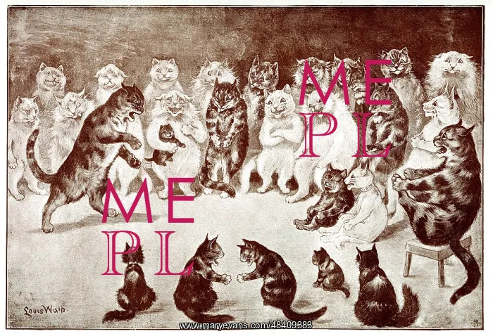 : A Funny Story, Comical Cats : A Funny Story, Comical Cats