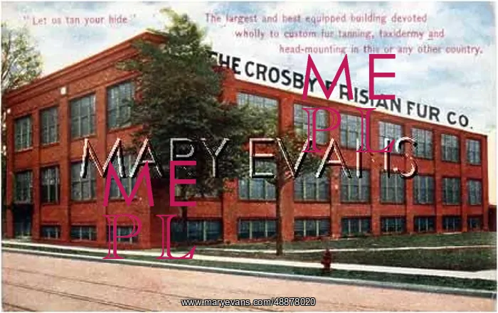 : FUR COMPANY PREMISES : FUR COMPANY PREMISES