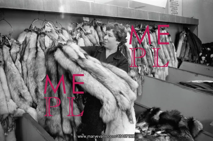 : Fur factory ?1 : Fur factory ?1