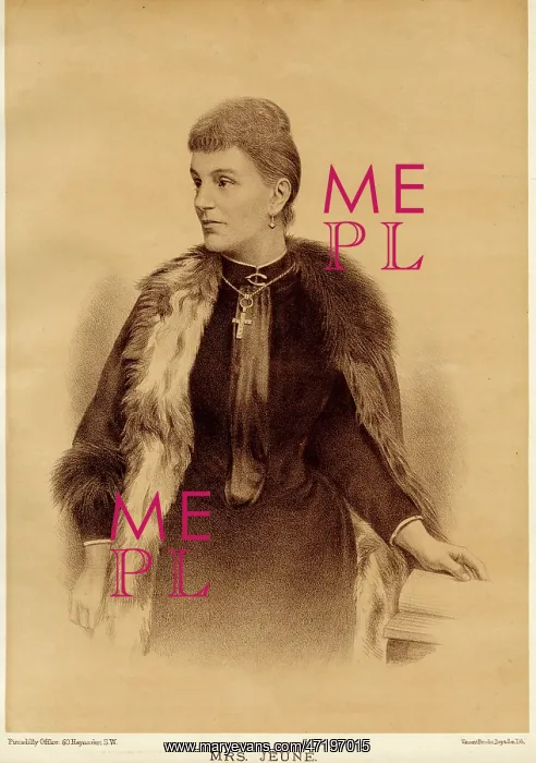 : Fur Stole. Fur stole worn by society lady (Miss Jeune) : Fur Stole. Fur stole worn by society lady (Miss Jeune)