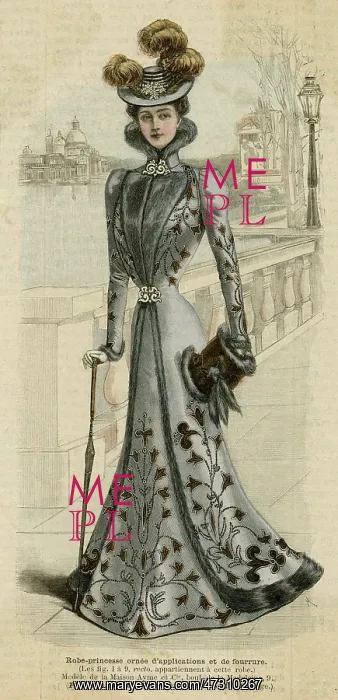 : Fur Trim Gown 1899 : Fur Trim Gown 1899