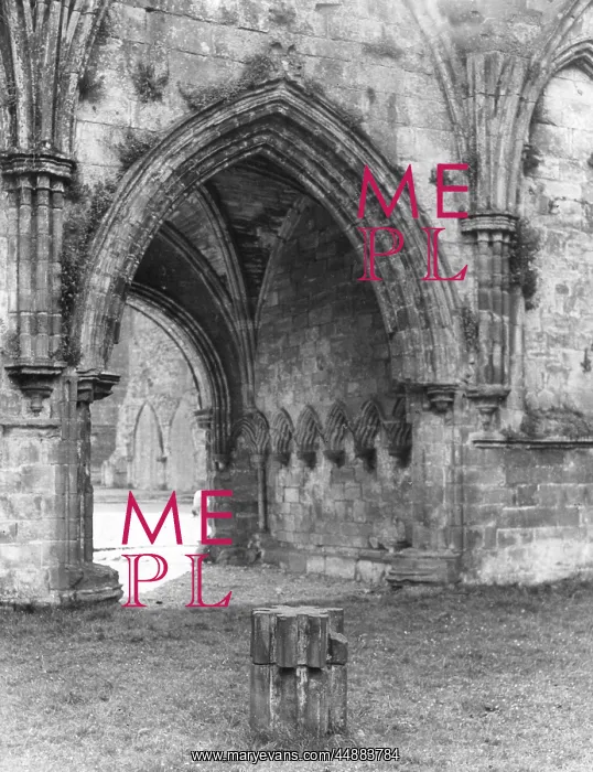 : FURNESS ABBEY : FURNESS ABBEY