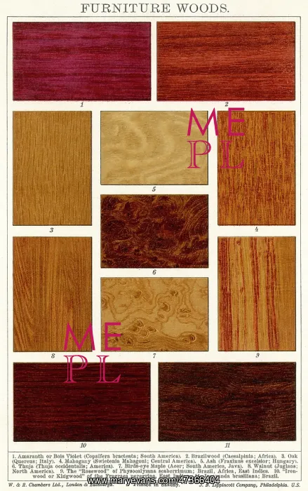 : FURNITURE WOODS : FURNITURE WOODS
