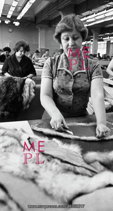 : Furrier Goncharova : Furrier Goncharova