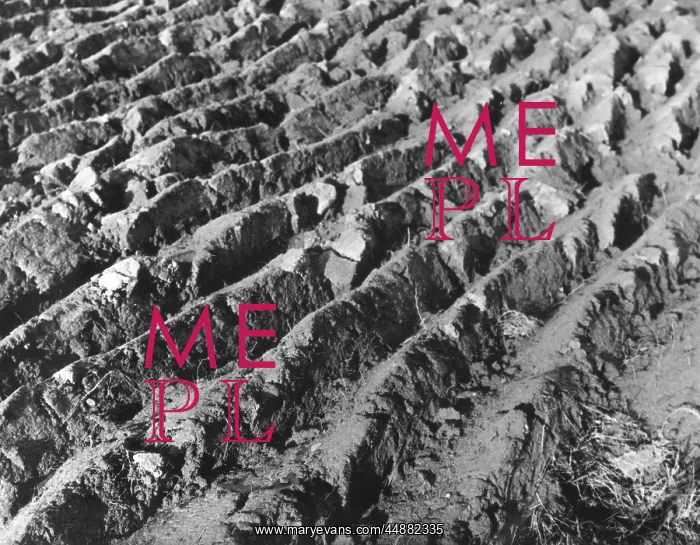  : THE FURROWED EARTH