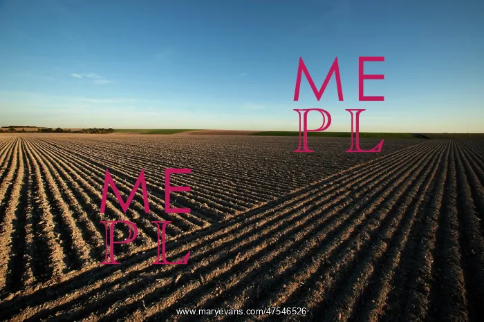 : Furrows in a field