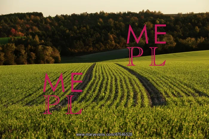  : Furrows in a field