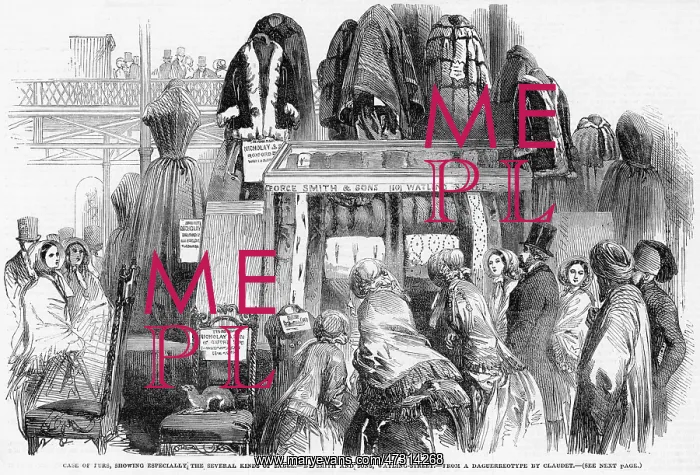 : FURS AT EXHIBITION : FURS AT EXHIBITION