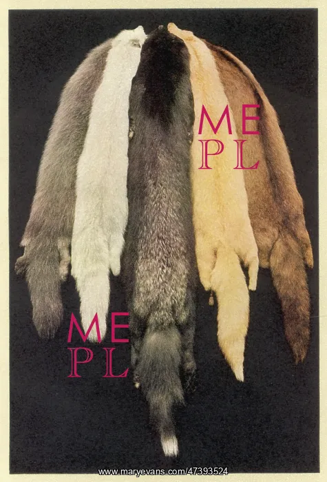 : FURS FOR FASHION 1931 : FURS FOR FASHION 1931