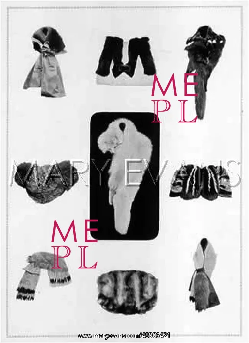 : FURS / GRUNWALDT / PLATE 11 : FURS / GRUNWALDT / PLATE 11