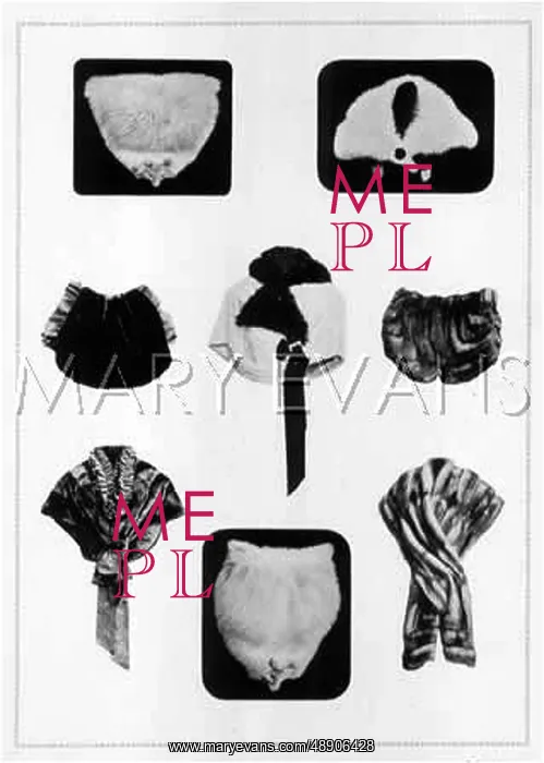 : FURS / GRUNWALDT / PLATE 12 : FURS / GRUNWALDT / PLATE 12