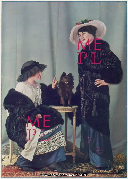 : FURS / GRUNWALDT / PLATE 9 : FURS / GRUNWALDT / PLATE 9