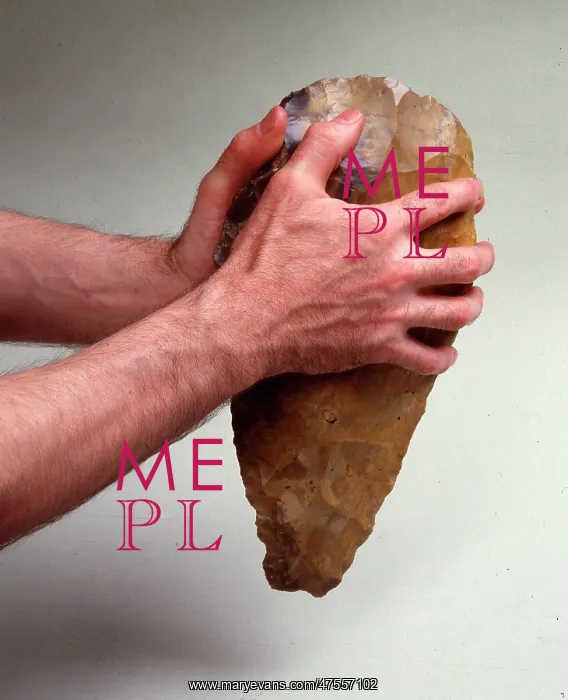 : The Furze Platt Hand Axe : The Furze Platt Hand Axe