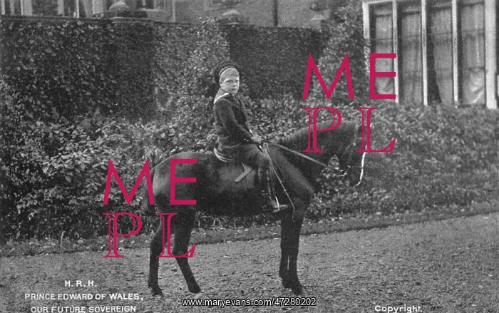 : Future Edward VIII riding a horse : Future Edward VIII riding a horse