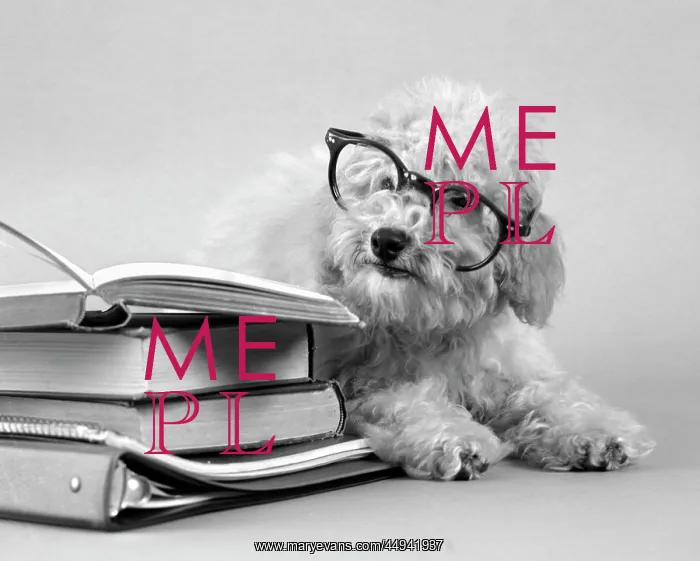 : Fuzzy Poodle White Wearing Human : Fuzzy Poodle White Wearing Human