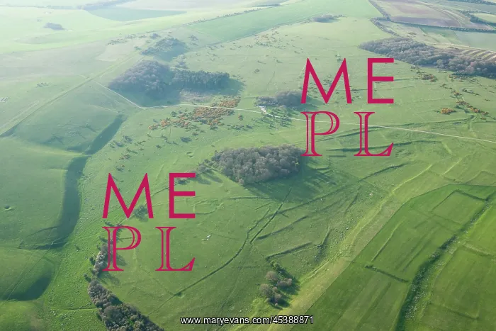 : Fyfield Down, Wiltshire : Fyfield Down, Wiltshire