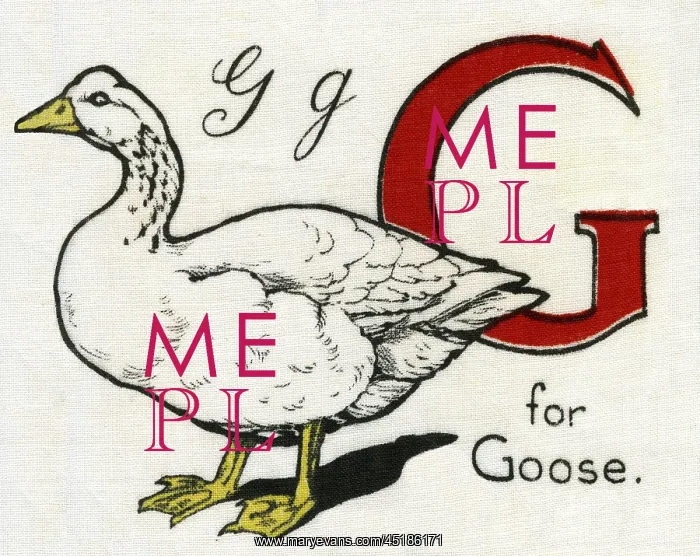  : G for Goose
