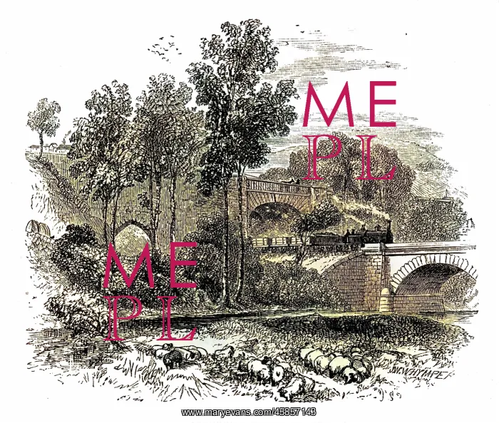 : G Stephenson - Bullbridge : G Stephenson - Bullbridge