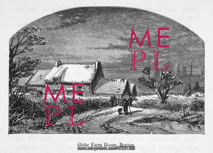 : G Stephenson - Glebe farm : G Stephenson - Glebe farm