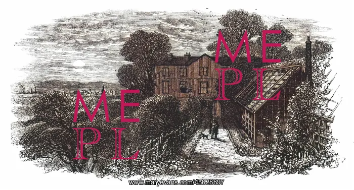 : G Stephenson - Tapton GDNS : G Stephenson - Tapton GDNS