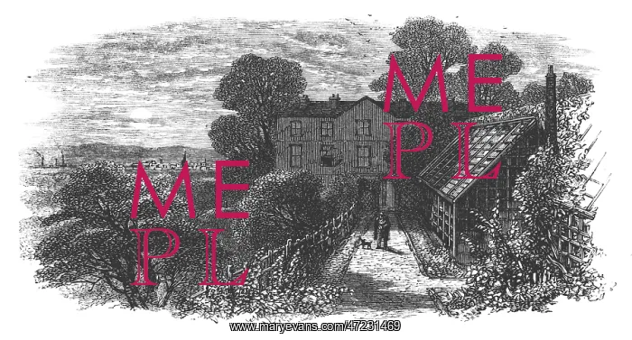 : G Stephenson - Tapton GDNS : G Stephenson - Tapton GDNS