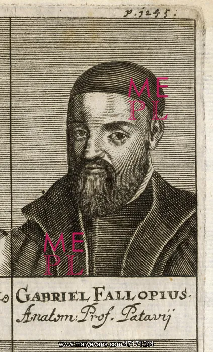 : GABRIEL FALLOPIUS : GABRIEL FALLOPIUS