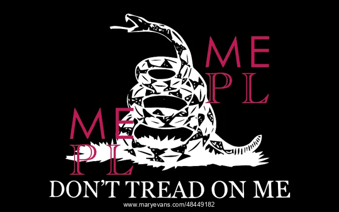 : The Gadsden flag : The Gadsden flag
