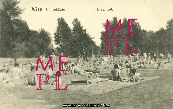 : Gaensehaeufel : Gaensehaeufel