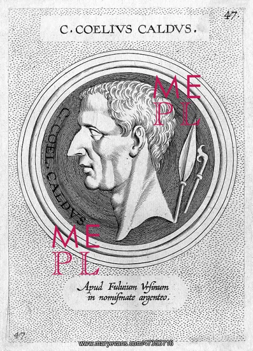 : GAIUS COELIUS CALDUS : GAIUS COELIUS CALDUS