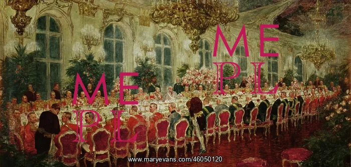 : A gala dinner in Schonbrunn Palace : A gala dinner in Schonbrunn Palace
