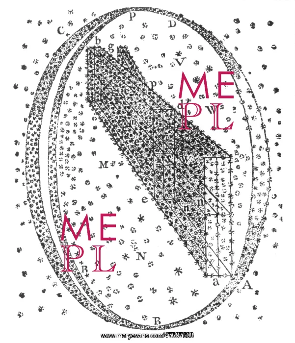 : Galactic Model, Herschel, 1784 : Galactic Model, Herschel, 1784