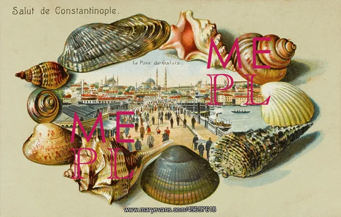 : The Galata Bridge - Istanbul : The Galata Bridge - Istanbul