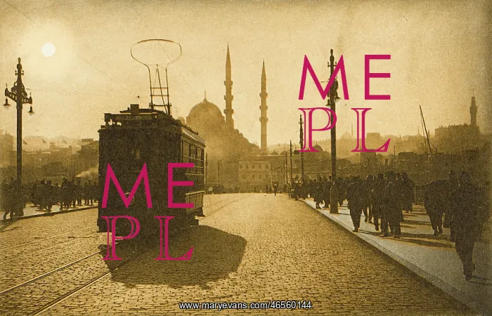 : Galata Bridge (New Bridge) - Constantinople : Galata Bridge (New Bridge) - Constantinople