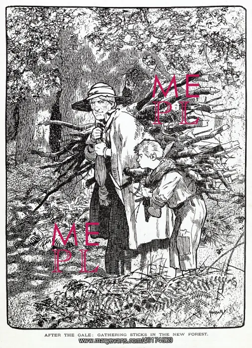 : After the Gale, Gathering Sticks in New Forest by Hassall : After the Gale, Gathering Sticks in New Forest by Hassall