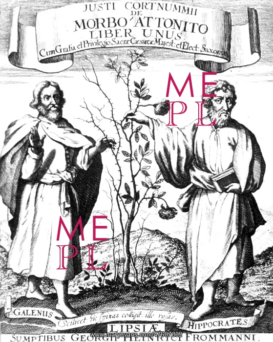  : Galen and Hippocrates, Greek Physicians