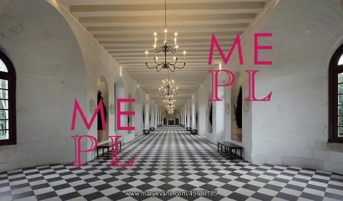 : Gallery, Chateau de Chenonceau, Indre-et-Loire, France : Gallery, Chateau de Chenonceau, Indre-et-Loire, France