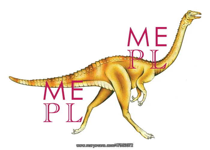 : Gallimimus : Gallimimus