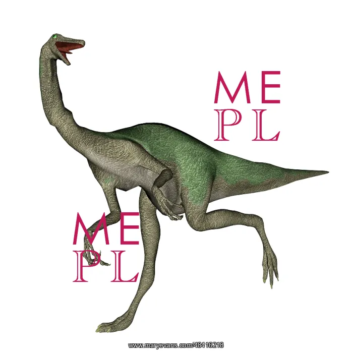  : Gallimimus dinosaur