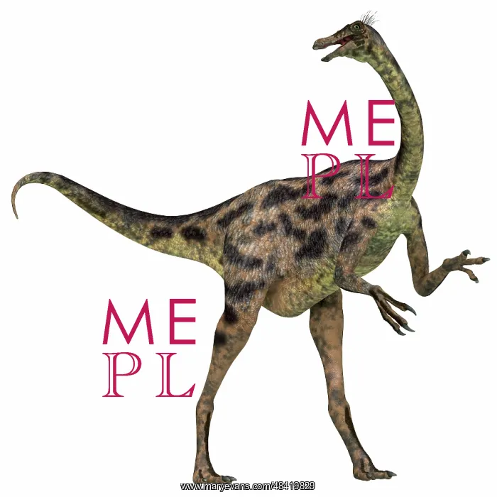 : Gallimimus dinosaur : Gallimimus dinosaur