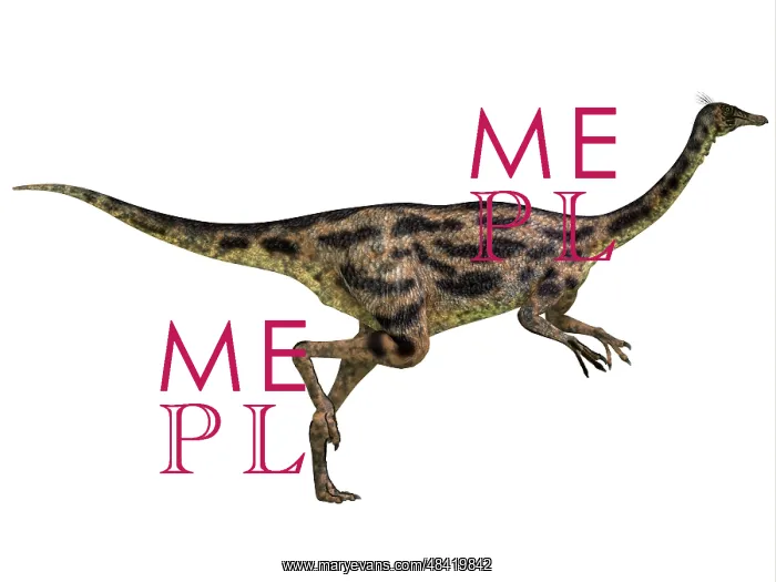 : Gallimimus dinosaur : Gallimimus dinosaur