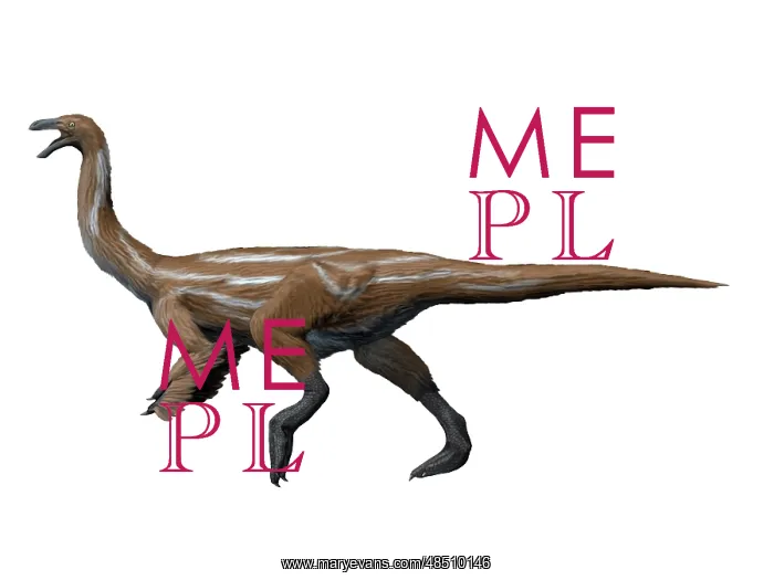 : Gallimimus dinosaur : Gallimimus dinosaur